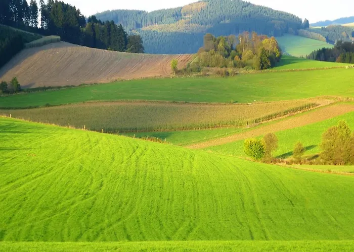 Nahe Skibus Apartment Schmallenberg